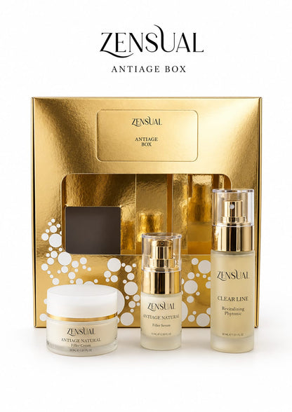 BOX ANTIAGE